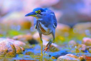 激情四射的亚洲区世界杯预选赛，18强的激烈对决世界杯亚洲区预选赛18强